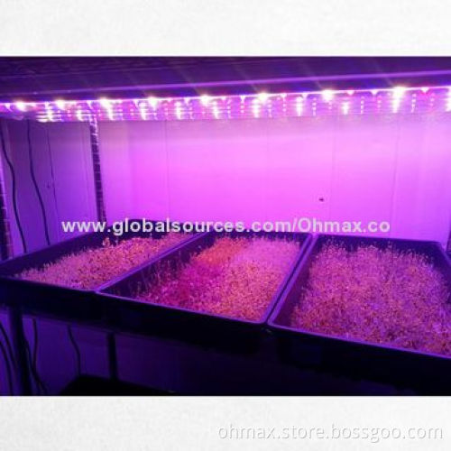 Water-resistant LED Grow Light, 36W/T8 Tube to Replace Traditional Fluorescent Tube for Indoor Plant